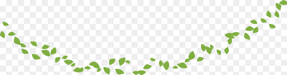 If I Shed Leaves Don39t Give Me Extra Water Film, Green, Leaf, Plant Png