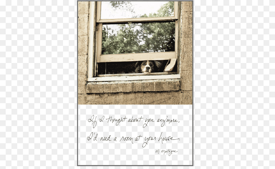 If I Thought About Youclass Window, Animal, Canine, Dog, Mammal Png Image