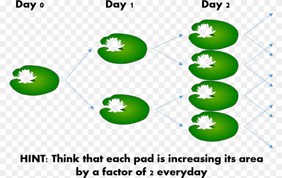 If Instead Of One Lily Pad You Start With Eight Lily Diagram, Green, Produce, Food, Fruit Free Transparent Png