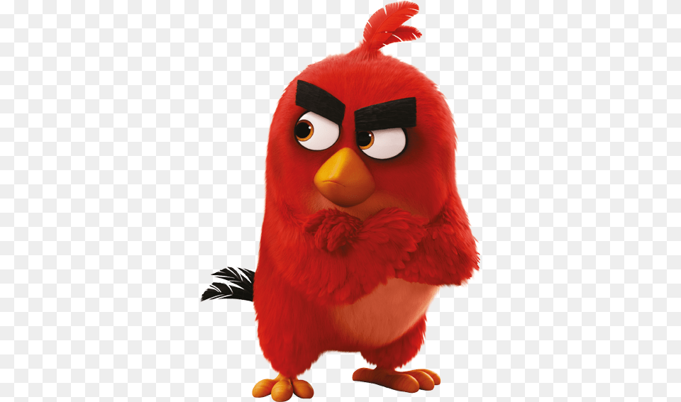 If Learning English With The Angry Birds Isn39t Right Angry Birds, Animal, Beak, Bird, Plush Free Transparent Png