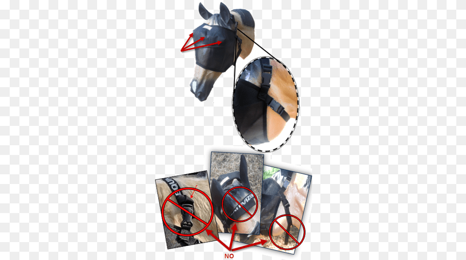 If The Female End Breaks The New Female End Will Need Stallion, Helmet, Animal, Horse, Mammal Png