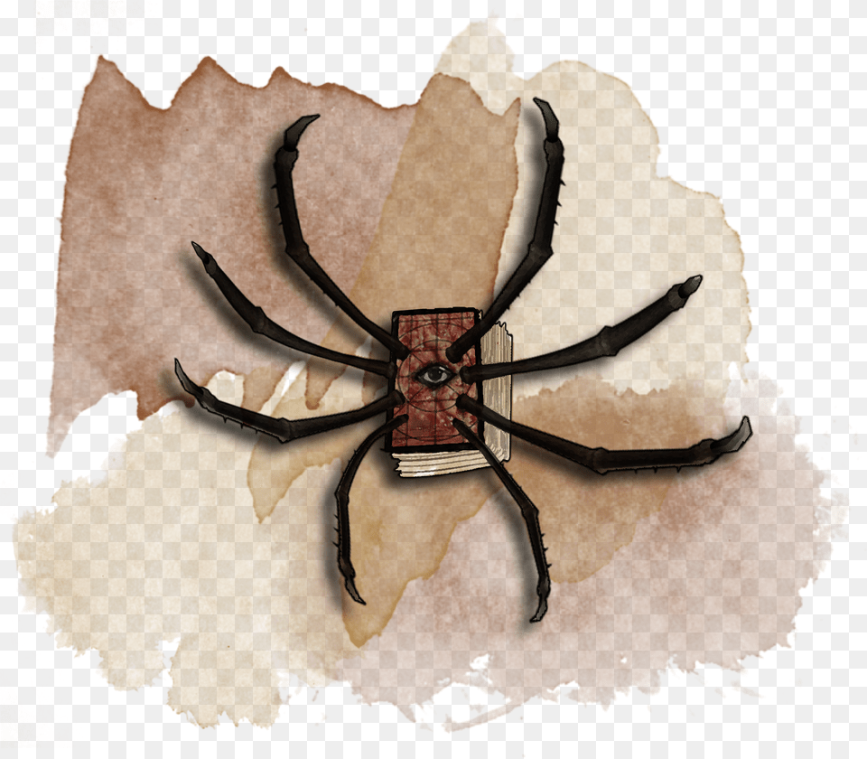 If The Spider Dies Before Returning To You It Returns Human Body Louse, Animal, Invertebrate Free Png Download