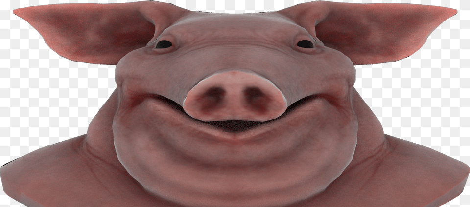 If We Render That We Can Indeed See We Rendered Our, Baby, Person, Snout, Face Free Transparent Png