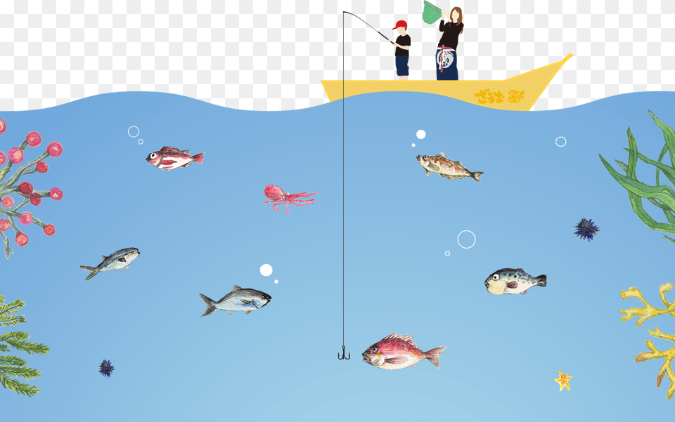 If You Are Having A Difficult Time Catching A Fish Illustration, Animal, Sea Life, Water, Aquatic Png Image