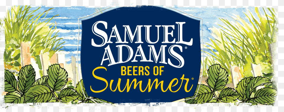 If You Are In Town On A Wednesday Night Flight Night Sam Adams Beer, Plant, Vegetation, Herbal, Herbs Free Transparent Png