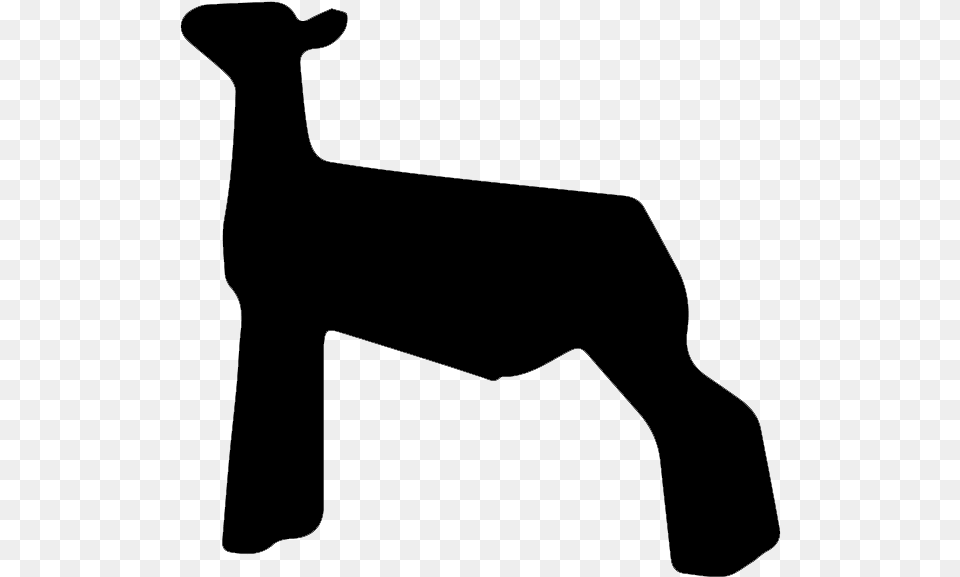 If You Found This, Animal, Mammal, Livestock, Sheep Free Transparent Png