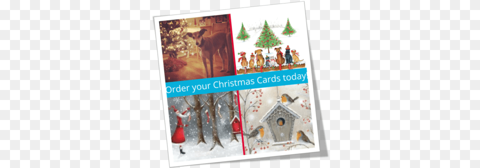 If You Like To Send Out Cards To Your Friends And Family Christmas Day, Animal, Mammal, Pet, Dog Png Image