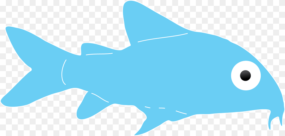 If You Look Carefully You Ll Be Able To See Them Scooting Cartilaginous Fish, Animal, Sea Life, Shark Free Transparent Png