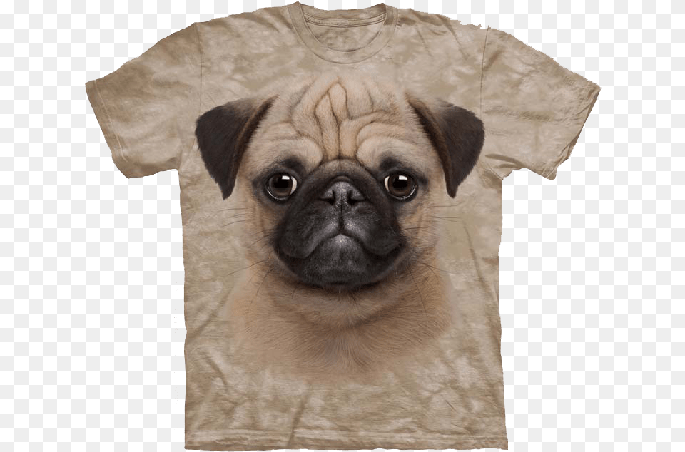 If You Love Pug Puppy Faces Then This Shirt Is Perfect Tee Shirt Carlin, Clothing, T-shirt, Animal, Canine Png