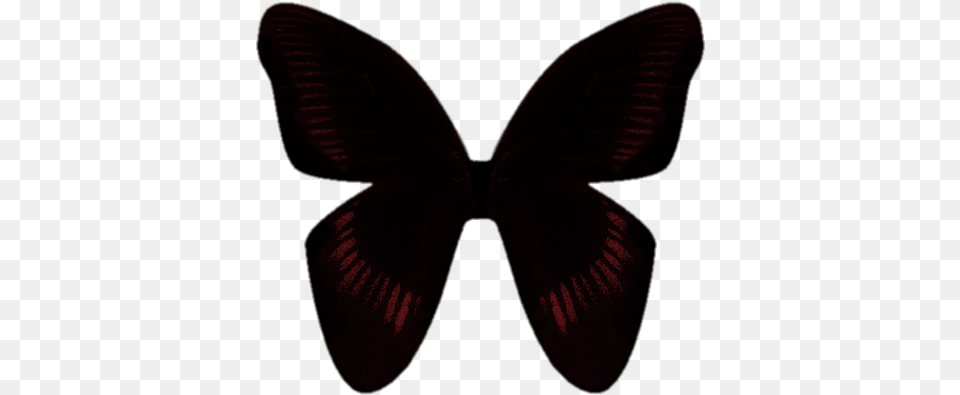 If You Need It To Be Divided I Can Do It Butterfly, Maroon, Accessories, Formal Wear, Tie Free Transparent Png