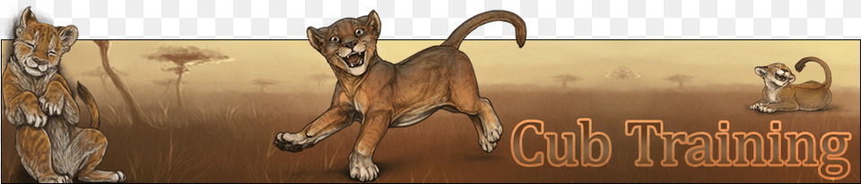 If You Want Your Little Cub To Be The Very Best Lion Cougar, Animal, Canine, Dog, Mammal Free Png Download