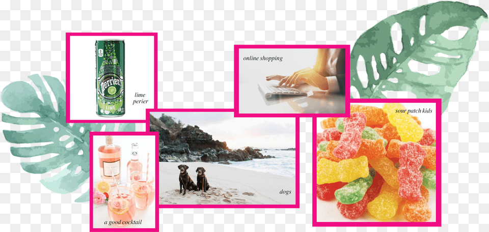 If You39re A Brand Or Business Hoping To Collaborate Sour Patch Kids 1 Lb Bulk Bag, Sweets, Food, Person, Animal Free Png Download