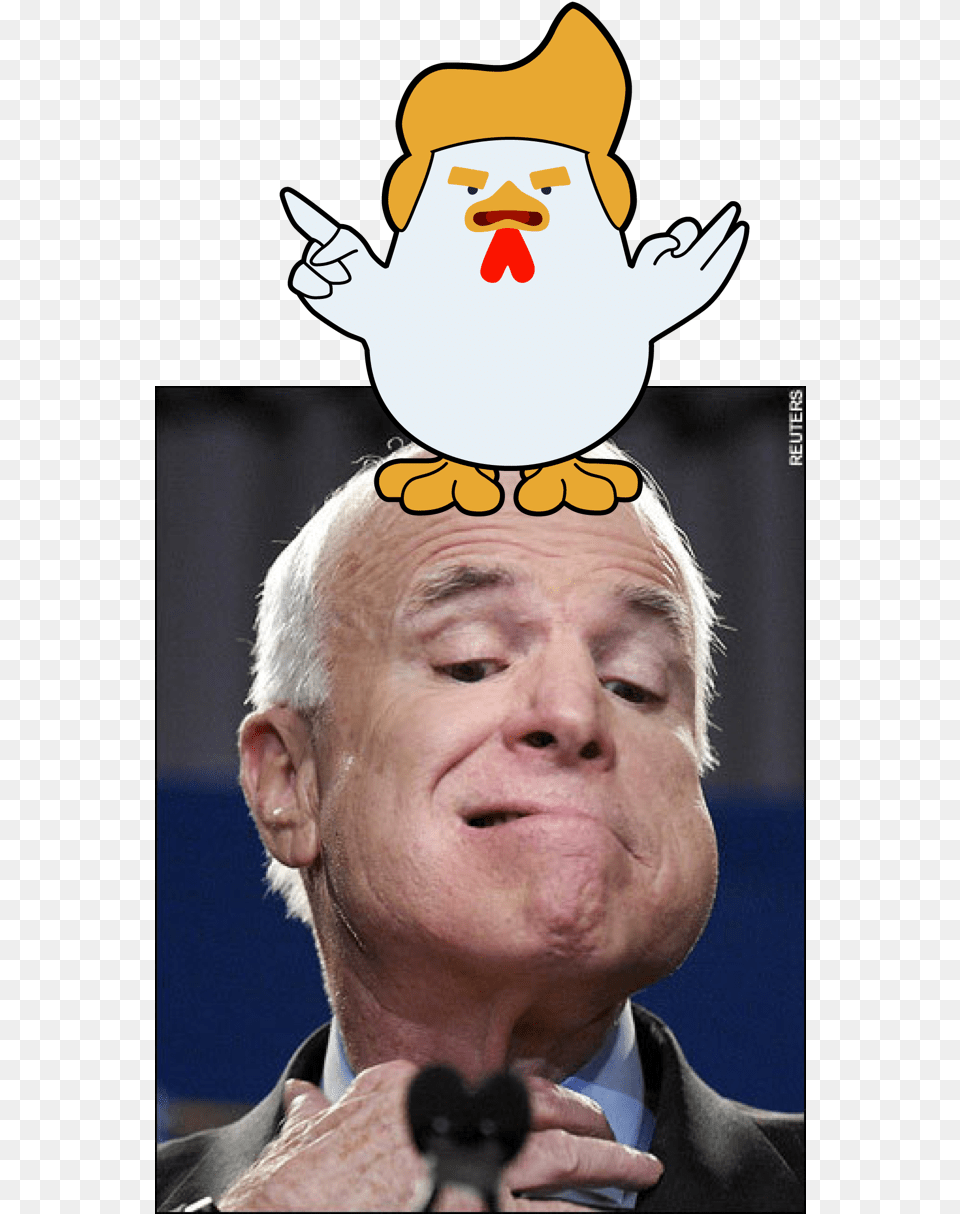 If You39ve Heared Of Quotelf On A Shelfquot You Might Like 72 Things Younger Than John Mccain Book, Person, Hand, Finger, Body Part Free Transparent Png
