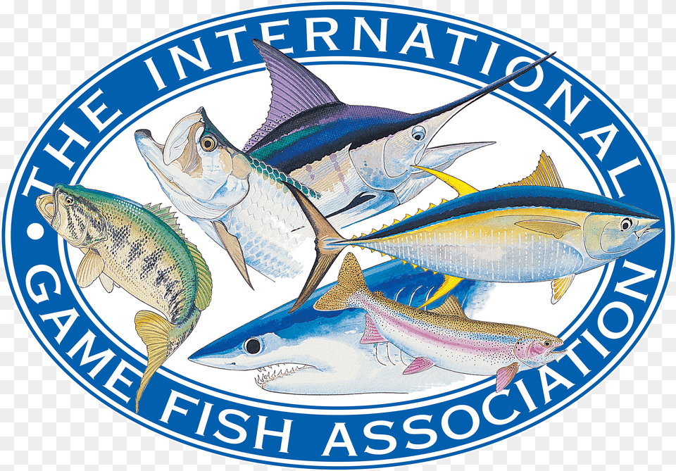 Igfa Logo International Game Fish Association, Animal, Sea Life, Tuna Free Transparent Png