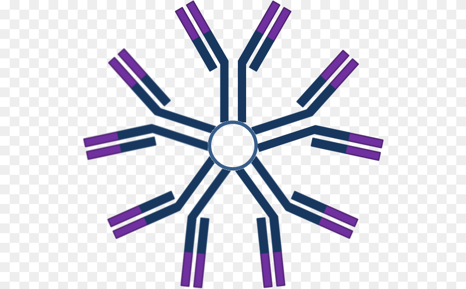 Igm Structure Of Igm Immunoglobulin M Clipart, Nature, Outdoors, Snow, Sword Png