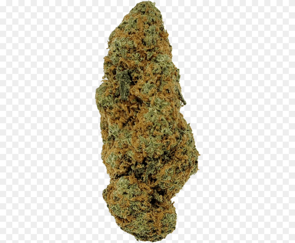 Igneous Rock, Plant, Weed, Bread, Food Free Transparent Png
