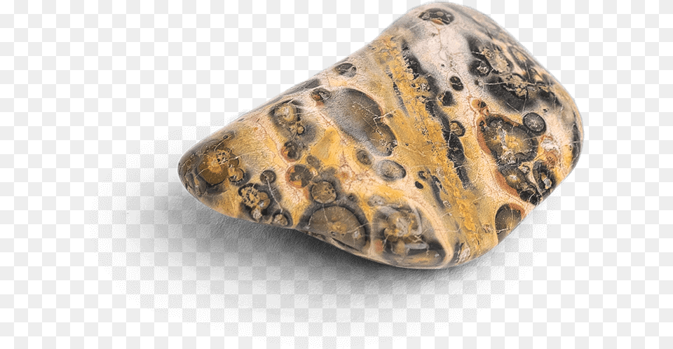 Igneous Rock, Accessories, Gemstone, Jewelry, Ornament Free Png