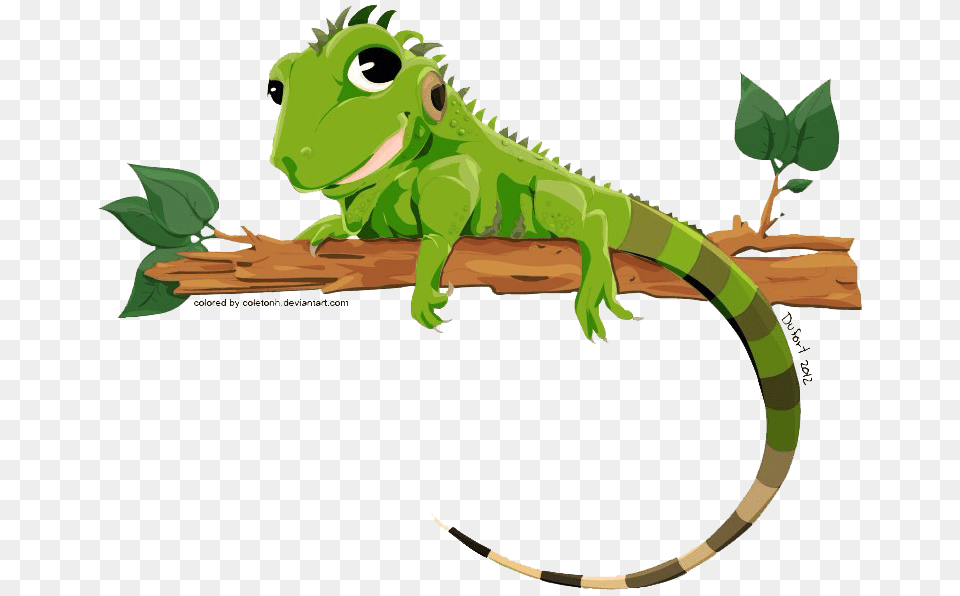 Iguana, Animal, Lizard, Reptile, Dinosaur Free Png Download