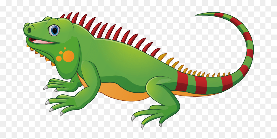 Iguana, Animal, Lizard, Reptile, Dinosaur Png