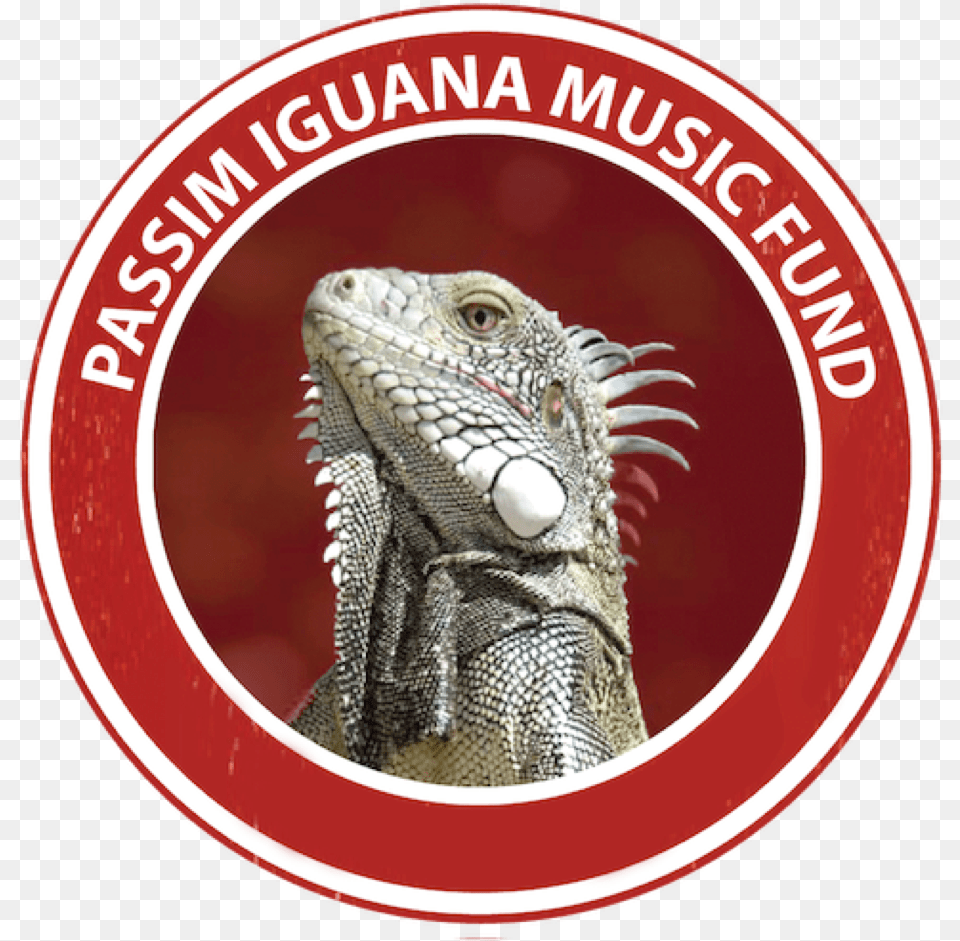 Iguana, Animal, Lizard, Reptile Free Transparent Png