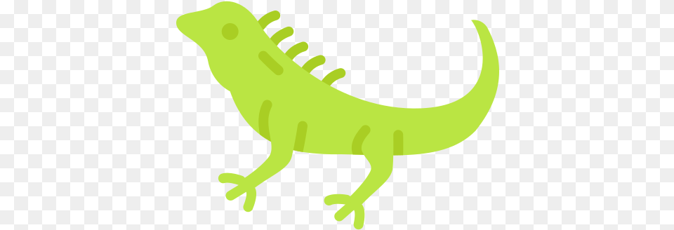 Iguana Animals Icons Animal Figure, Lizard, Reptile, Gecko, Fish Free Png Download