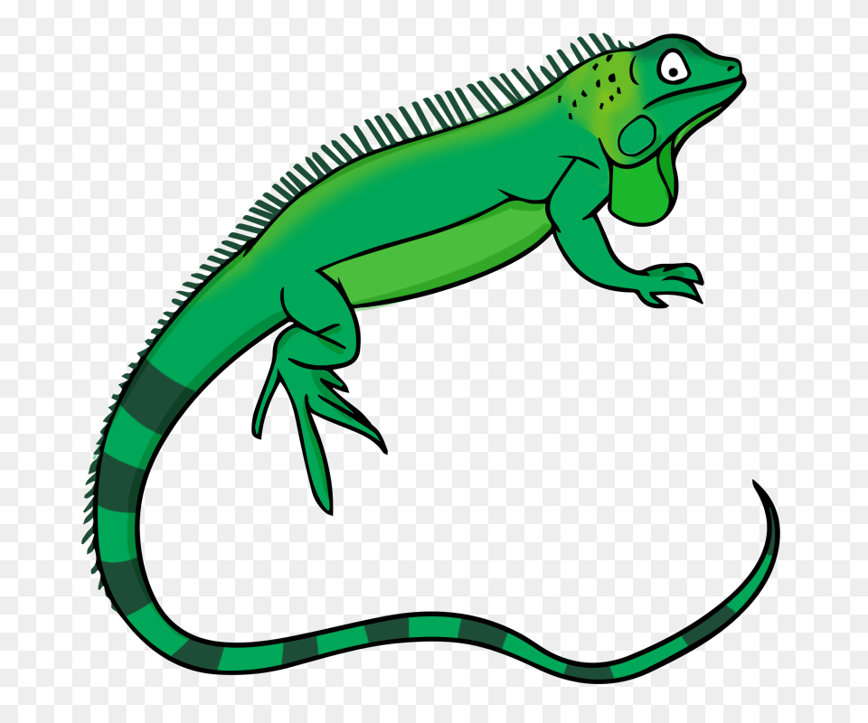 Iguana Clip Art, Animal, Gecko, Lizard, Reptile Png Image