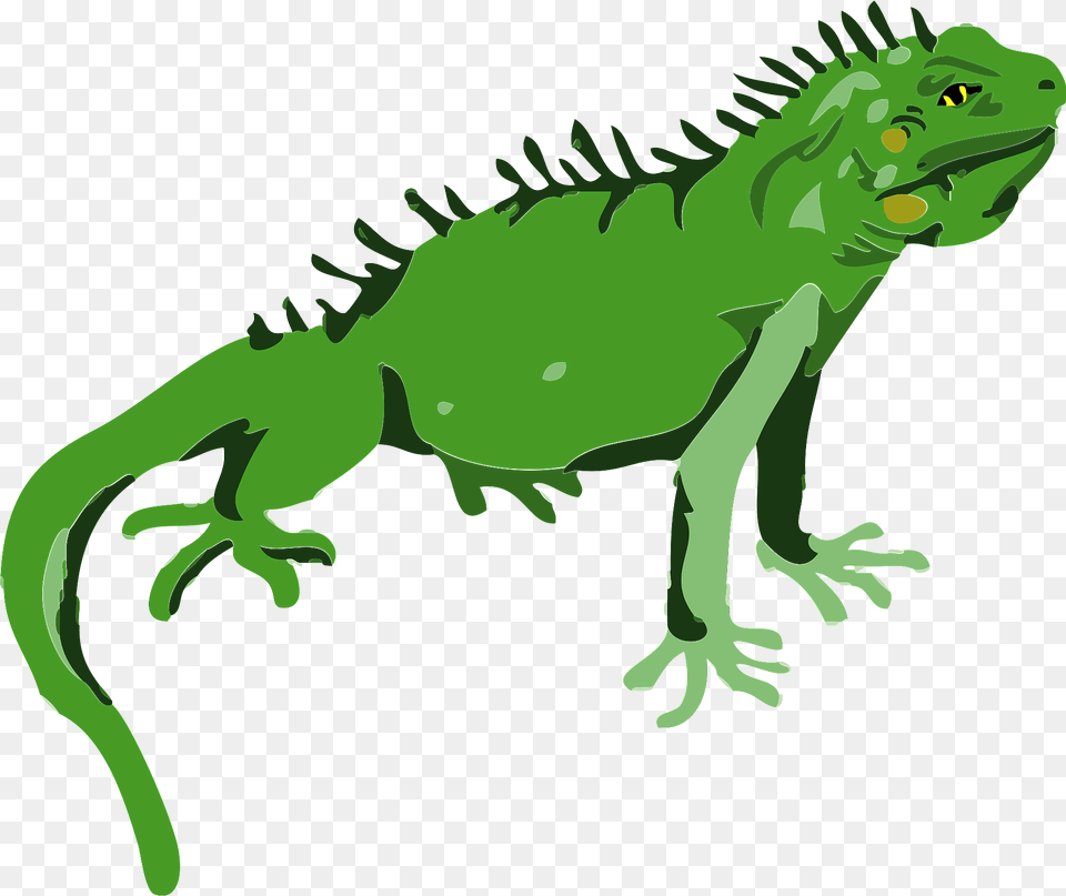 Iguana Clipart, Animal, Lizard, Reptile, Dinosaur Png