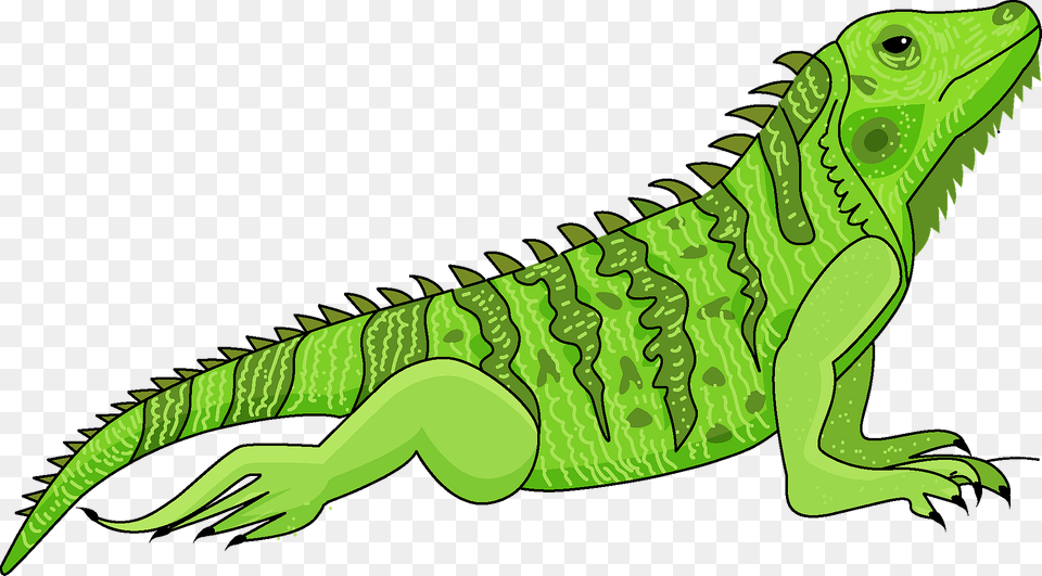 Iguana Clipart, Animal, Lizard, Reptile Free Png Download