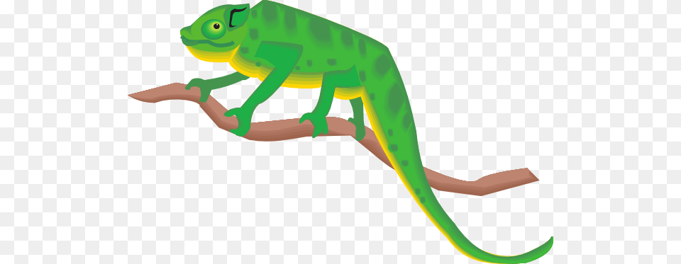 Iguana Clipart Chameleon, Animal, Lizard, Reptile, Green Lizard Free Png
