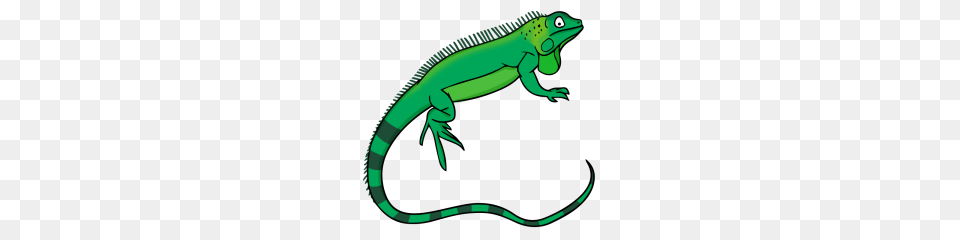 Iguana Clipart Clip Art Images, Animal, Lizard, Reptile, Gecko Free Transparent Png