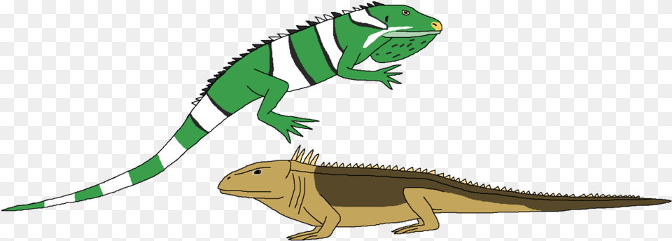 Iguana Clipart Real Chameleon, Animal, Lizard, Reptile, Dinosaur Png