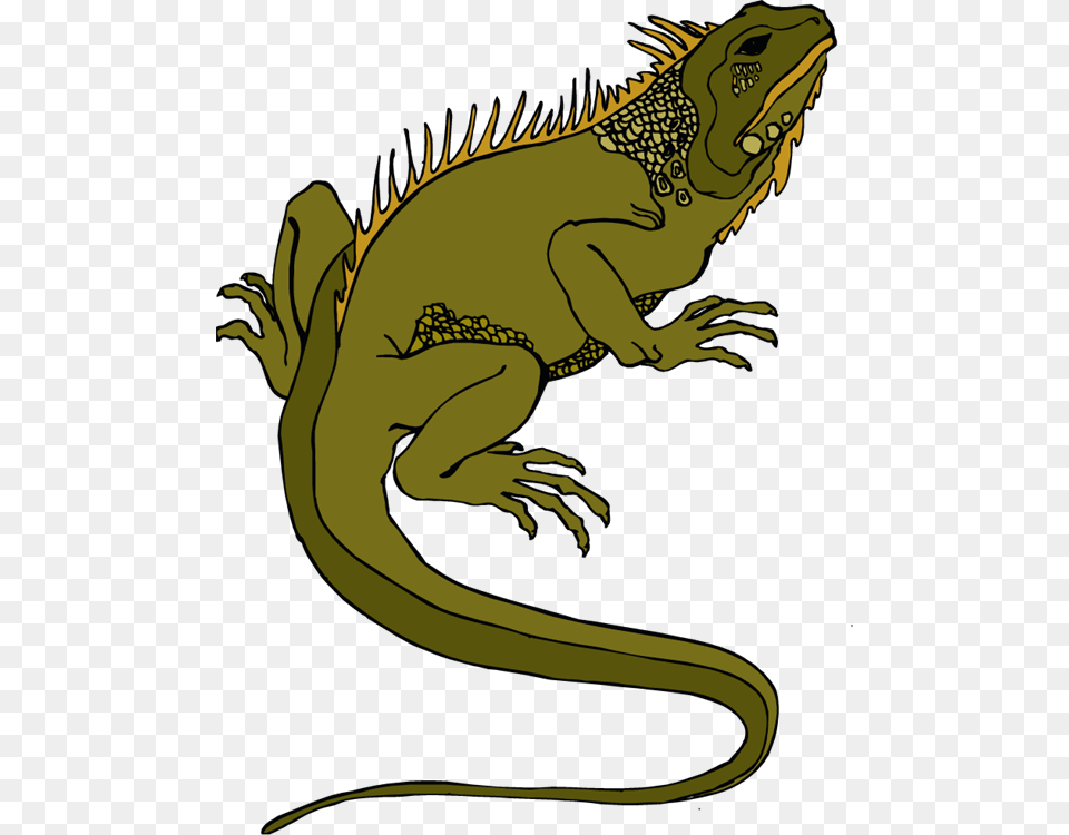 Iguana Cliparts Lizard Clipart Transparent, Animal, Reptile, Dinosaur Png Image