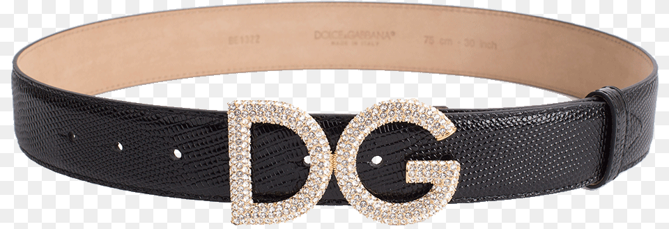 Iguana Dg Crystal Logo Belt Dolce And Gabbana, Accessories, Buckle Free Transparent Png