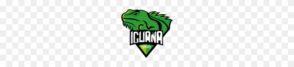 Iguana Esports, Green, Animal, Lizard, Reptile Free Transparent Png
