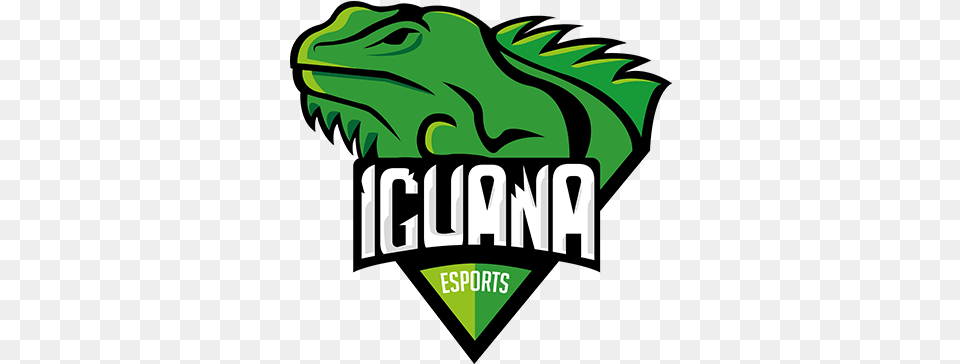 Iguana Esports Iguana, Green, Animal, Lizard, Reptile Free Transparent Png