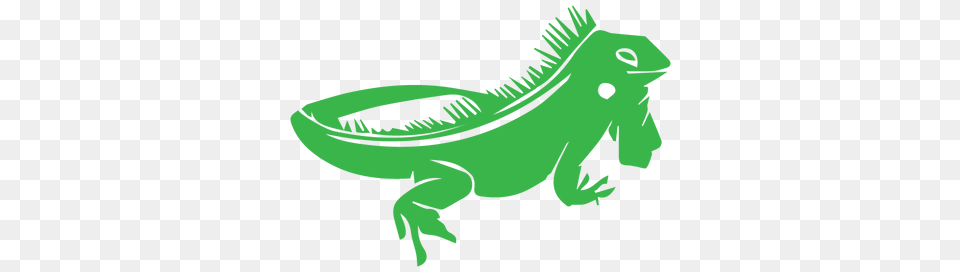 Iguana Graphic Freeuse Library Free Download On Unixtitan, Animal, Lizard, Reptile, Green Png