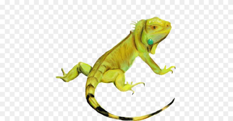 Iguana Hd, Animal, Lizard, Reptile Png Image