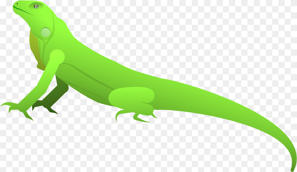 Iguana Iguana Carolina Anole Vippng Animal Figure, Lizard, Reptile, Gecko, Green Lizard Free Png Download