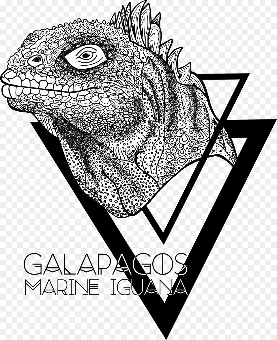 Iguana Illustration Green Iguana, Animal, Lizard, Reptile, Art Free Transparent Png