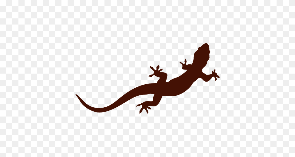 Iguana Pet Silhouette, Animal, Gecko, Lizard, Reptile Png Image