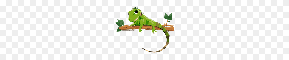 Iguana Photo Images And Clipart Freepngimg, Animal, Lizard, Reptile, Green Lizard Free Png Download