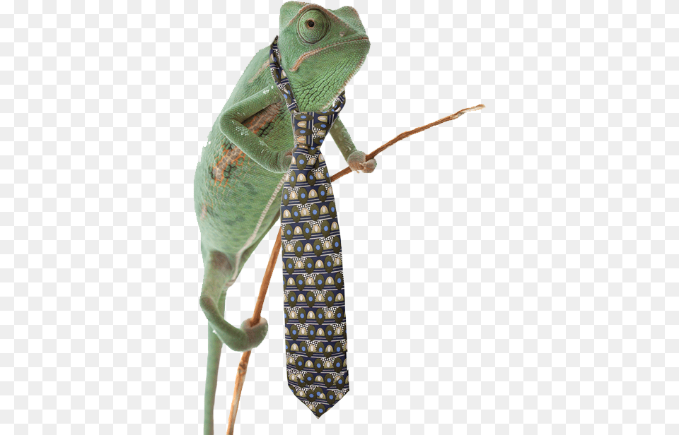 Iguana Platin Art Dgt Dt4046 Deco Gla, Accessories, Formal Wear, Tie, Animal Free Transparent Png