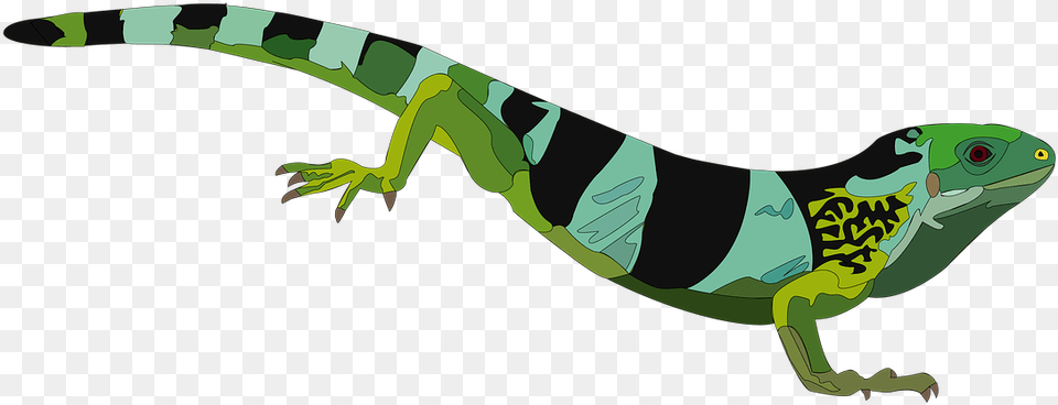 Iguana Reptile Green Green Iguana, Animal, Gecko, Lizard, Green Lizard Png