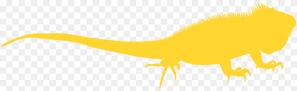 Iguana Silhouette, Animal, Lizard, Reptile, Dinosaur Free Png