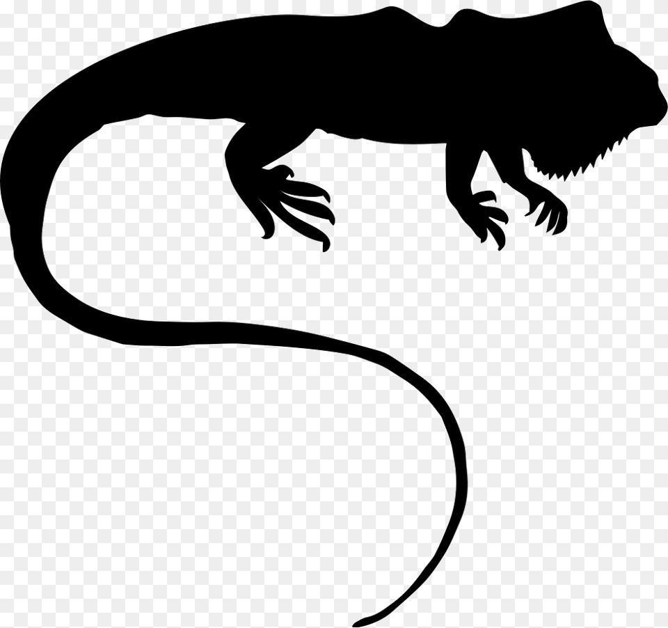 Iguana Silhouette Icon Download, Stencil, Animal, Dinosaur, Reptile Png