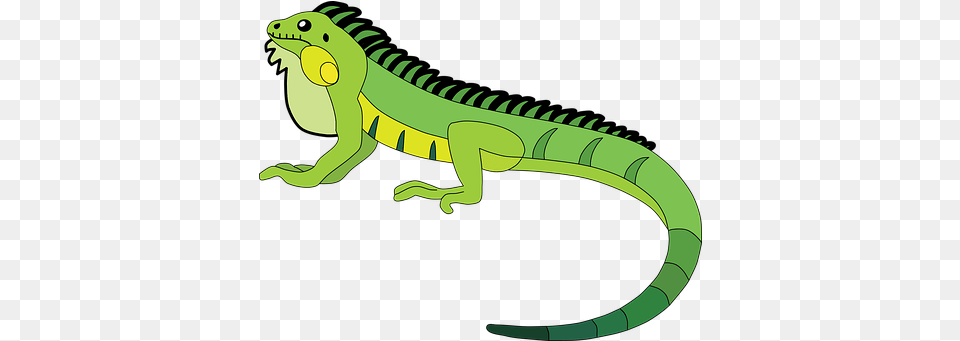 Iguana U0026 Lizard Vectors Pixabay Animal Figure, Reptile, Dinosaur Free Transparent Png