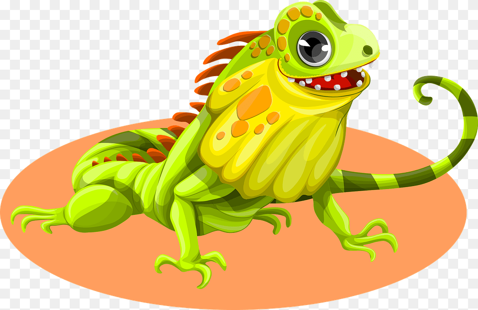 Iguana Vector, Animal, Lizard, Reptile Png Image