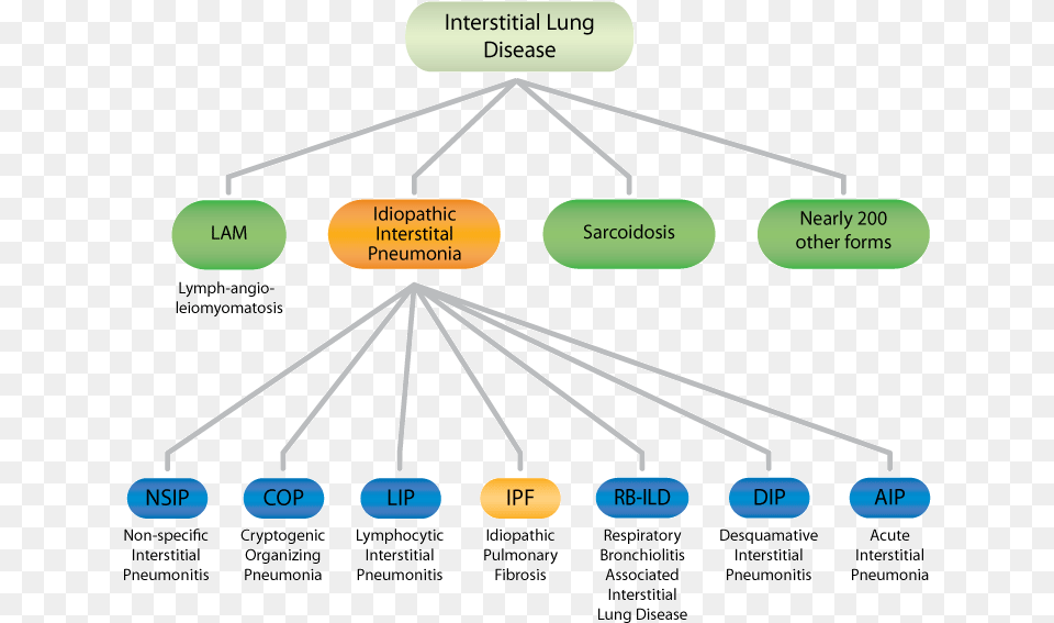 Iip Forms Types Of Idiopathic Pulmonary Fibrosis, Nature, Night, Outdoors, Diagram Free Png Download