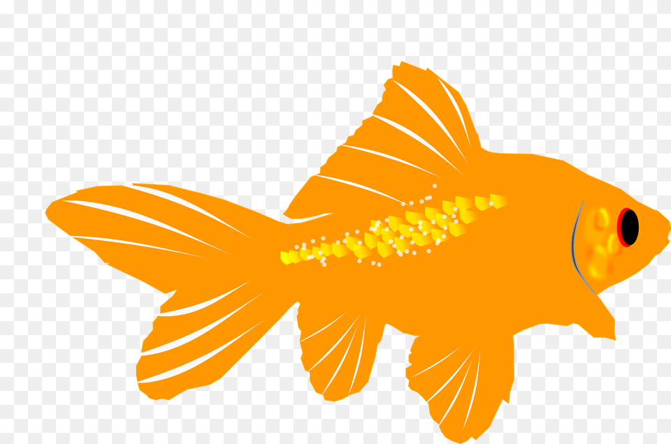 Ikan Mas Kartun, Animal, Fish, Sea Life, Goldfish Free Png Download