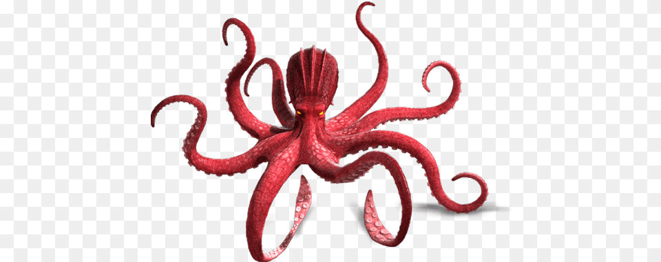 Ikaros, Animal, Sea Life, Invertebrate, Octopus Png Image